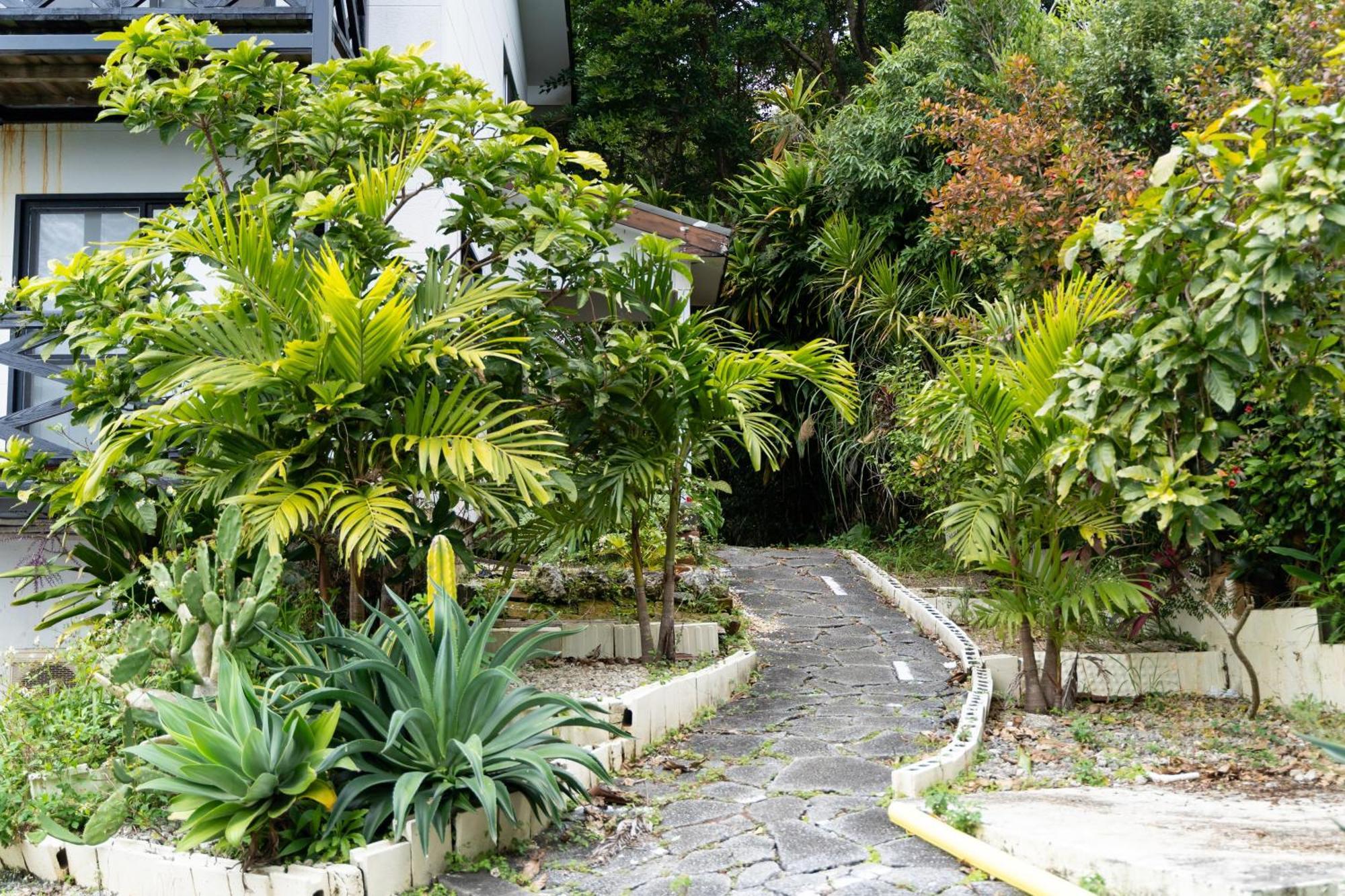 Mambo Hostel Okinawa Motobu Exterior foto
